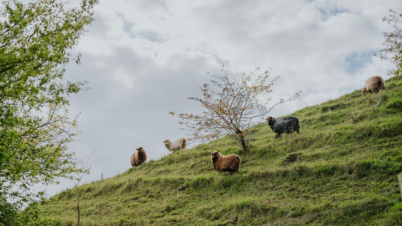 Søby Volde på Ærø